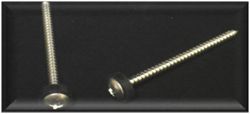 C1004 - 6AX2 PH TRUSS VH 410SS SCREW (MULLION) Pack of 2