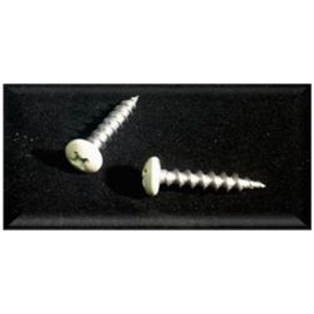 C1007 8AX7/8 PH PAN HD 41 SCREW Pack of 2 (KEEPER)