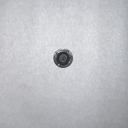 S4301 Hinge Cap for HG100 and HG200 Amesbury Truth Dual Adjustable Door Hinge. A black screw on white surface