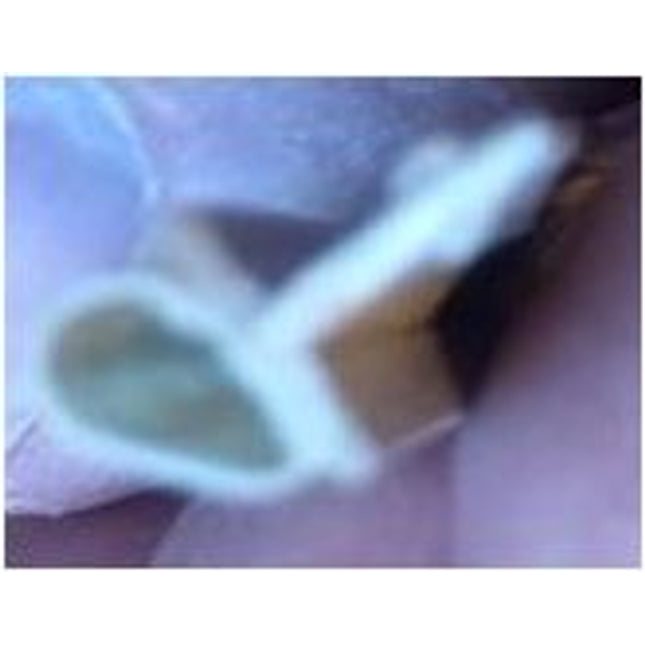 973 Frame Weather Strip